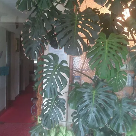 Lux Hotel Meran
